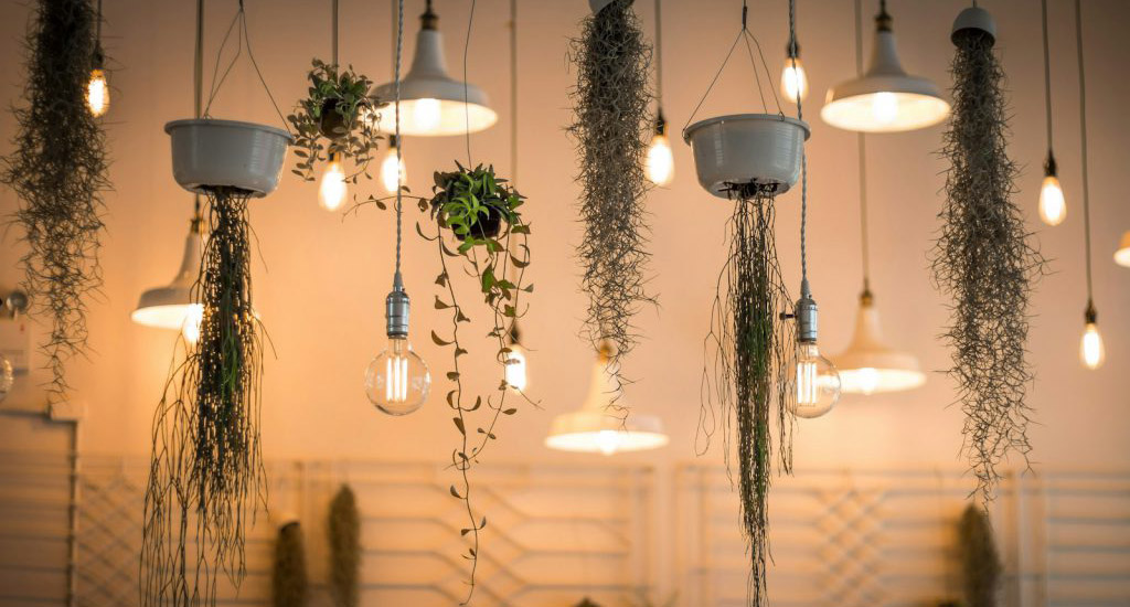 Dekorasyonda Aydınlatma Seçimleri
